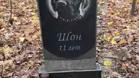 Видео: памятники для домашних животных